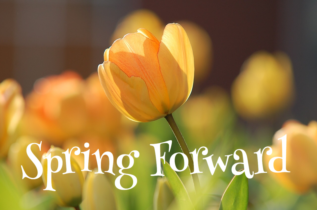 spring-forward-5-tips-for-true-transformation-dr-phylis-wakefield